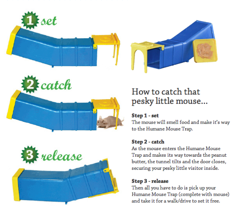 Humane Mouse Mice Trap Live Capture Animal Pest Gage Safe Reusable BUY 1 OR  5 | eBay