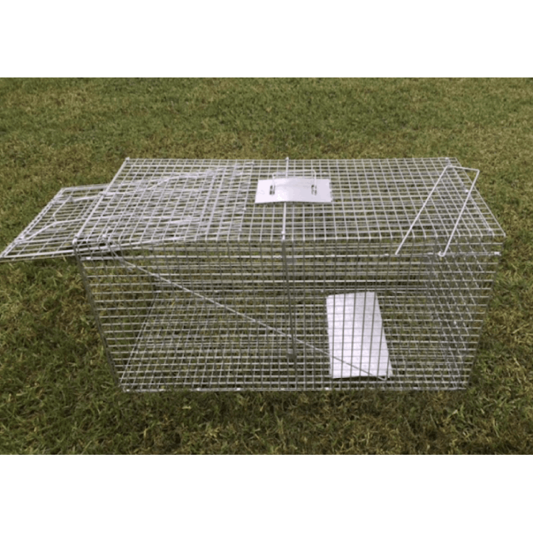 Heavy Duty Professional Fox Trap or Bush Turkey Trap Extra Large 101 x ...