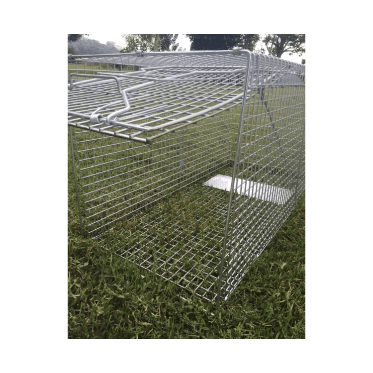 Heavy Duty Professional Fox Trap or Bush Turkey Trap Extra Large 101 x 50 x 54cm 685650374666 eBay