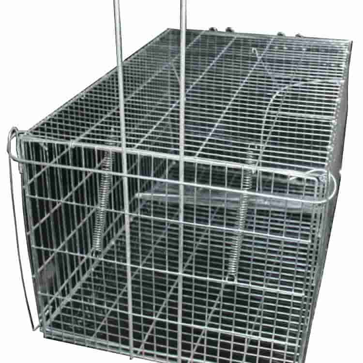 Feral Cat & Possum Traps Online | Humane Animal Traps | Mouse Fox Traps |  Escaping Outdoors