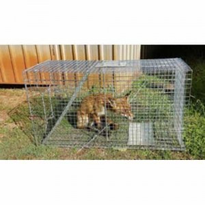 Professional heavy duty fox dog bush turkey trap