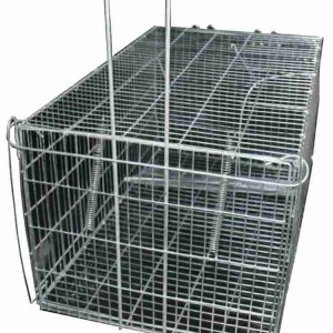 cat and possum trap humane animal trap